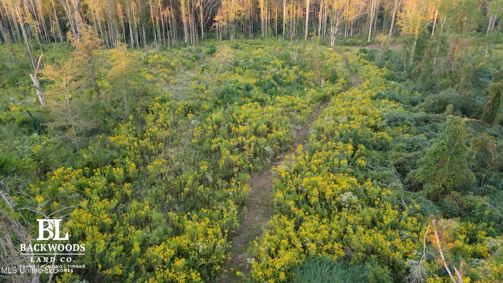 02 Edwards Rd Kosciusko, MS 39090