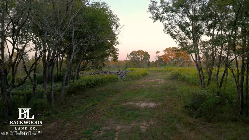 02 Edwards Rd Kosciusko, MS 39090