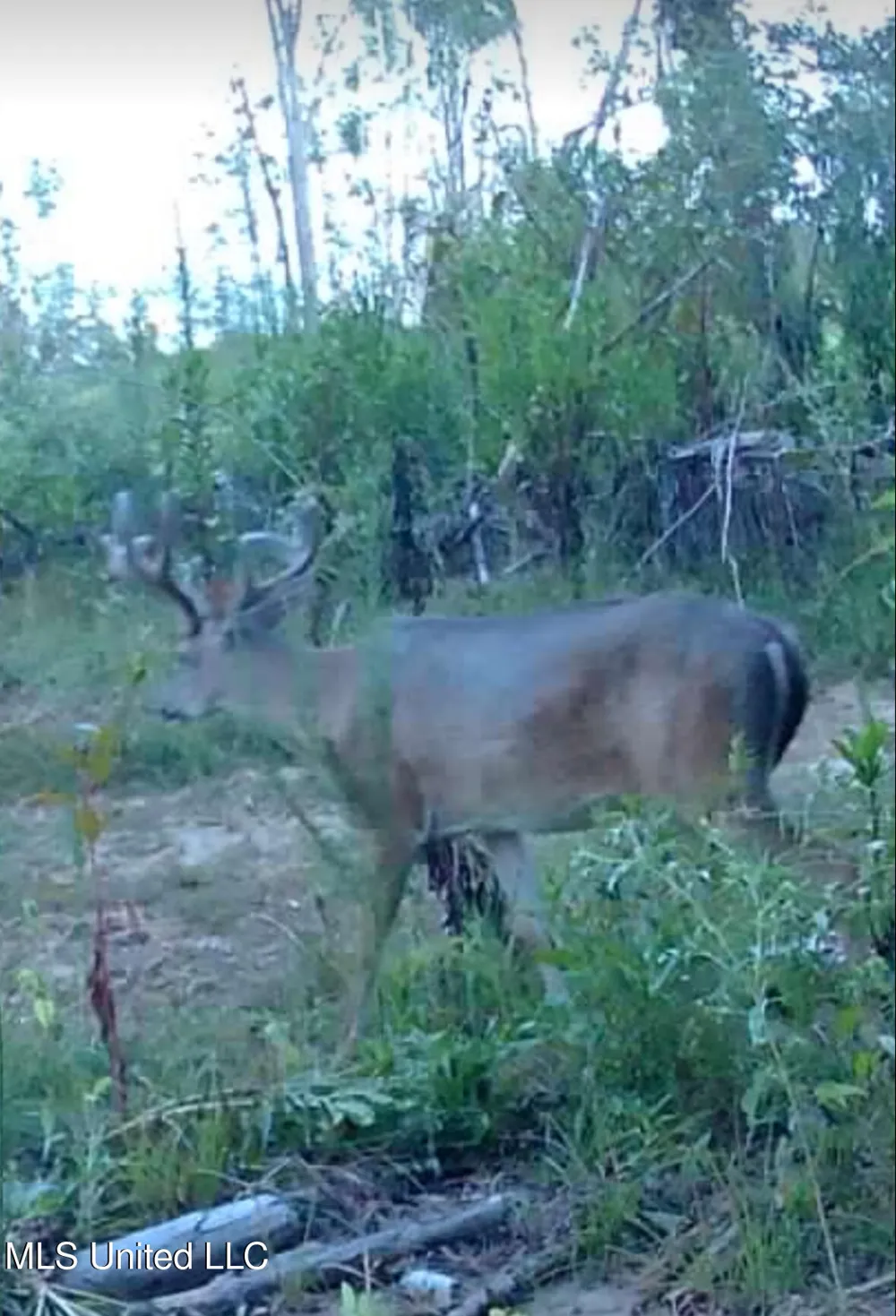 02 Edwards Rd Kosciusko, MS 39090