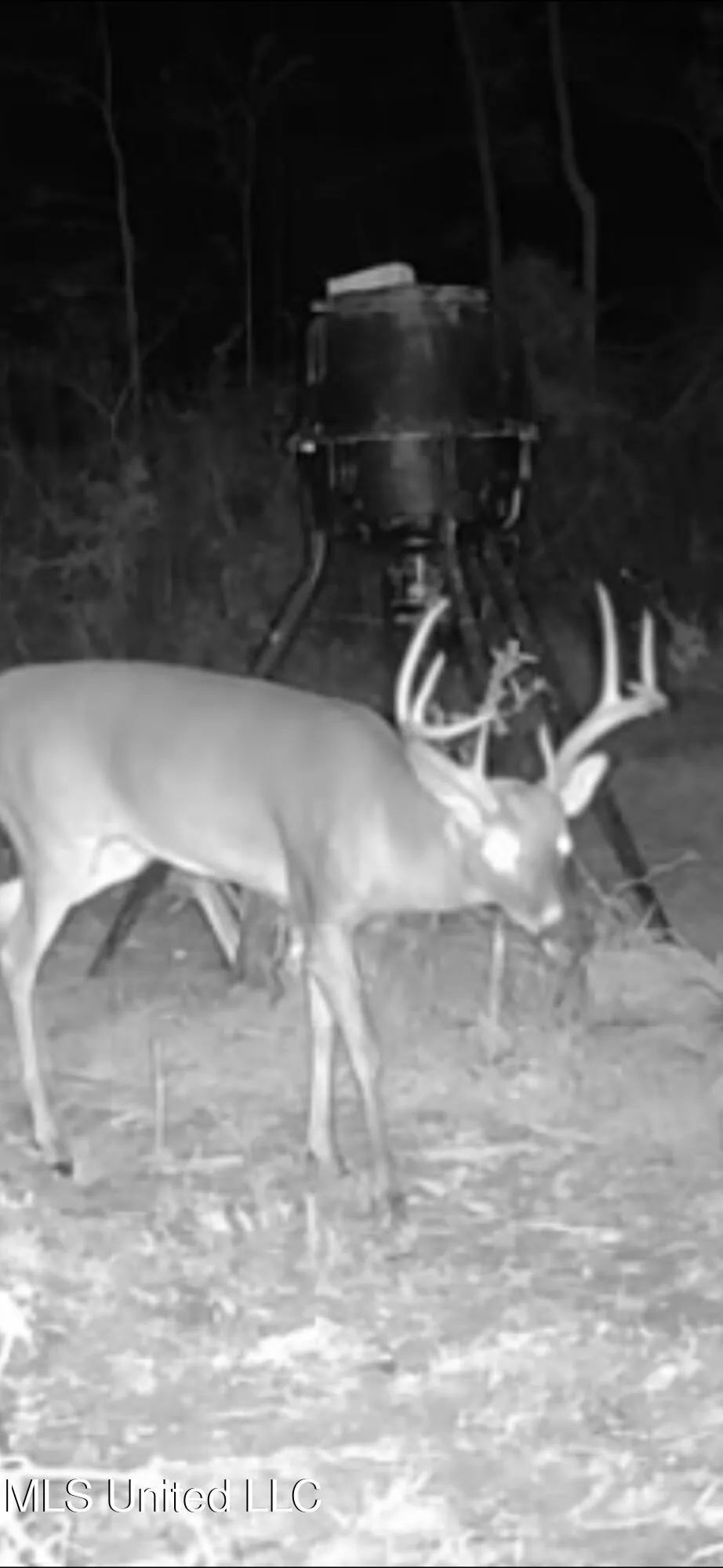 02 Edwards Rd Kosciusko, MS 39090