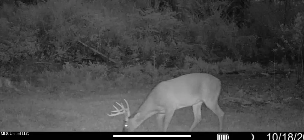 02 Edwards Rd Kosciusko, MS 39090