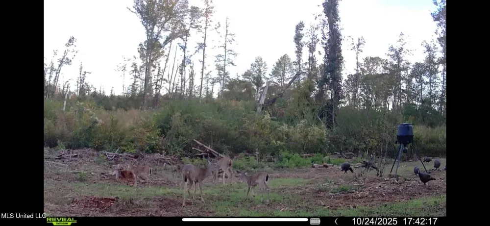 02 Edwards Rd Kosciusko, MS 39090