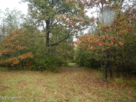 6977 Holly Grove-Meeks Road