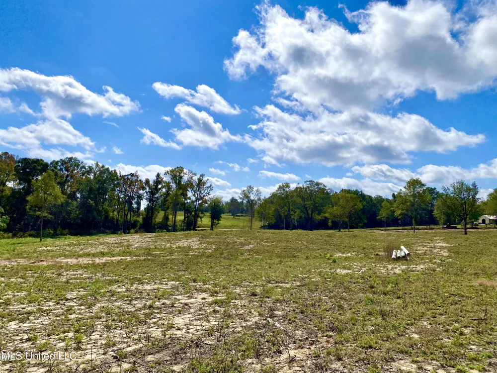 Mcneil Henleyfield Road Carriere, MS 39426