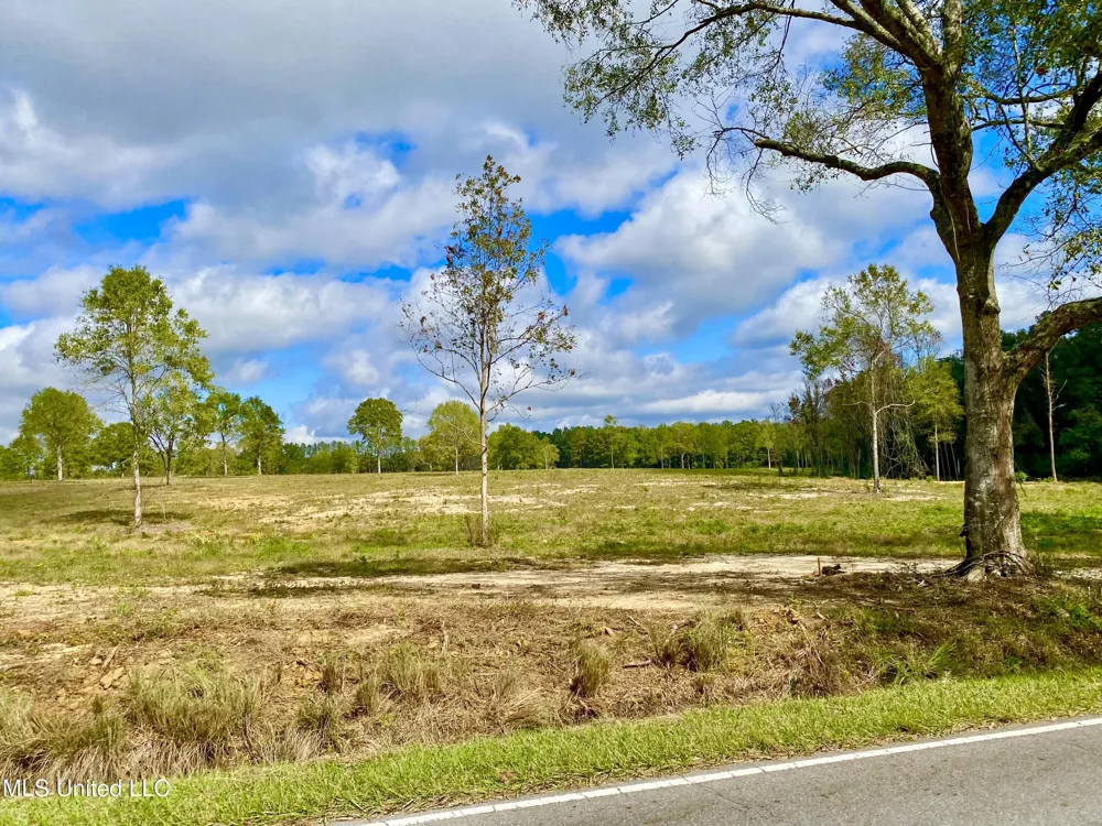 Mcneil Henleyfield Road Carriere, MS 39426