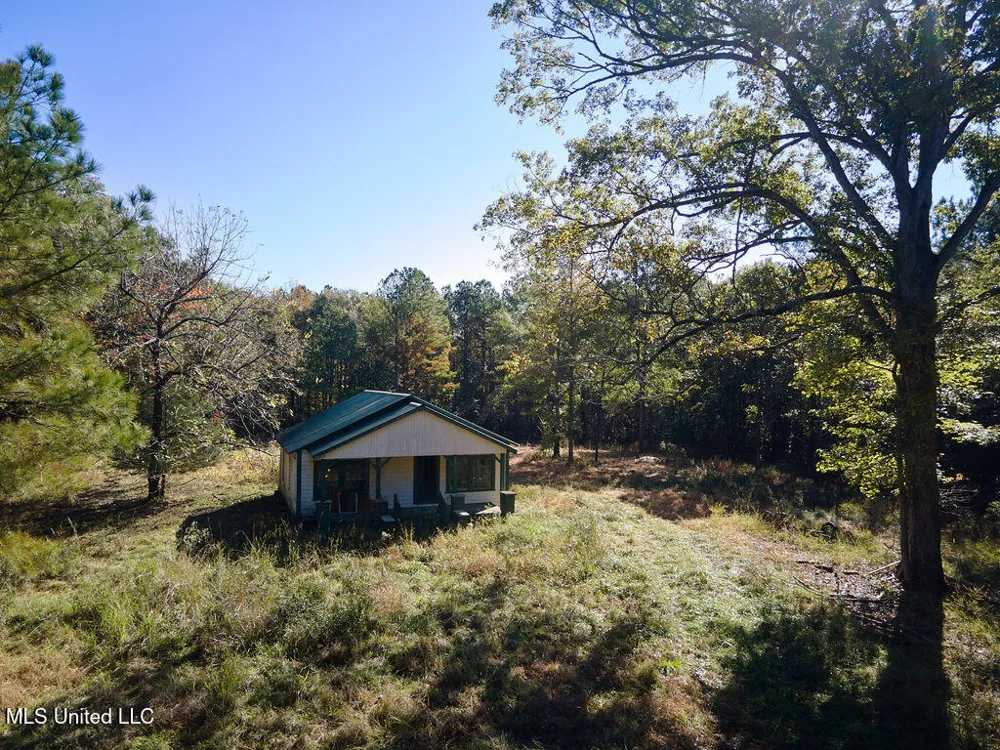 0 Green Door Road Eupora, MS 39744