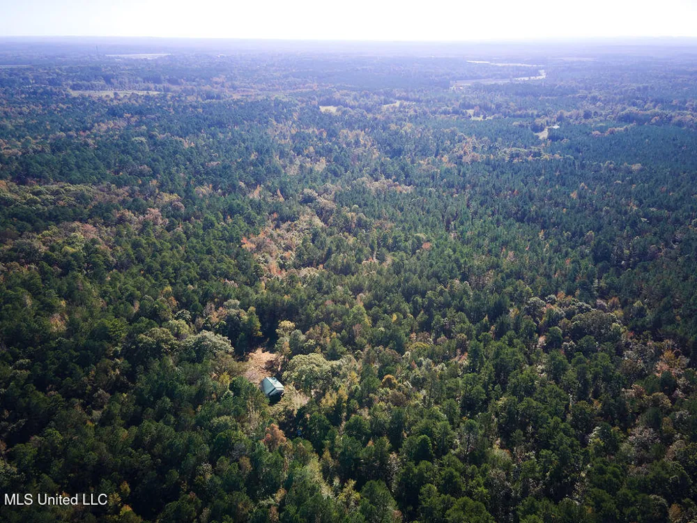 0 Green Door Road Eupora, MS 39744