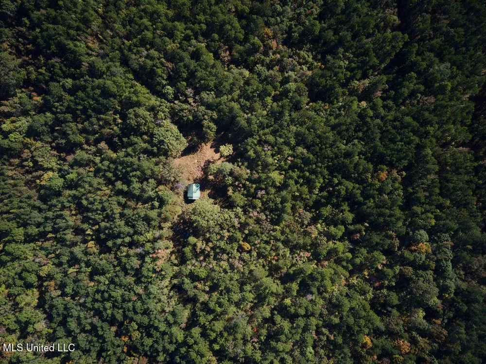 0 Green Door Road Eupora, MS 39744