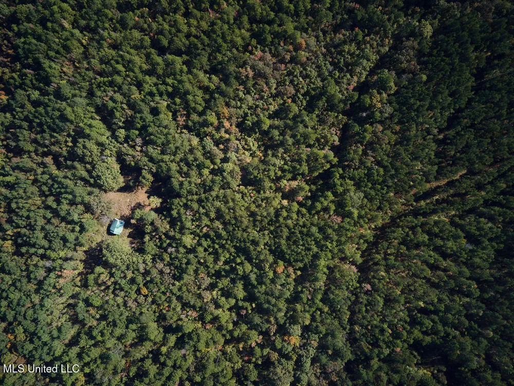 0 Green Door Road Eupora, MS 39744