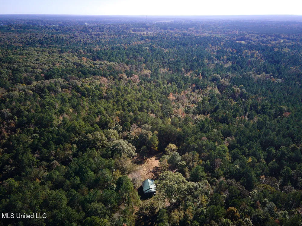0 Green Door Road Eupora, MS 39744