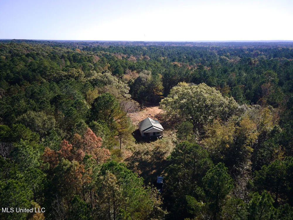 0 Green Door Road Eupora, MS 39744