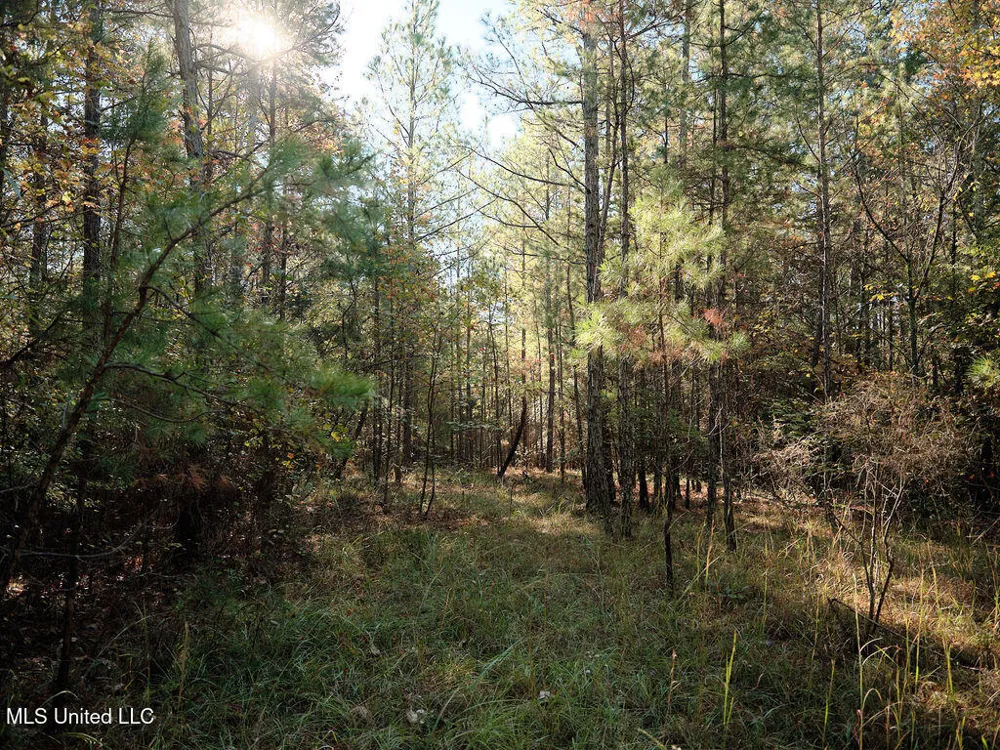 0 Green Door Road Eupora, MS 39744