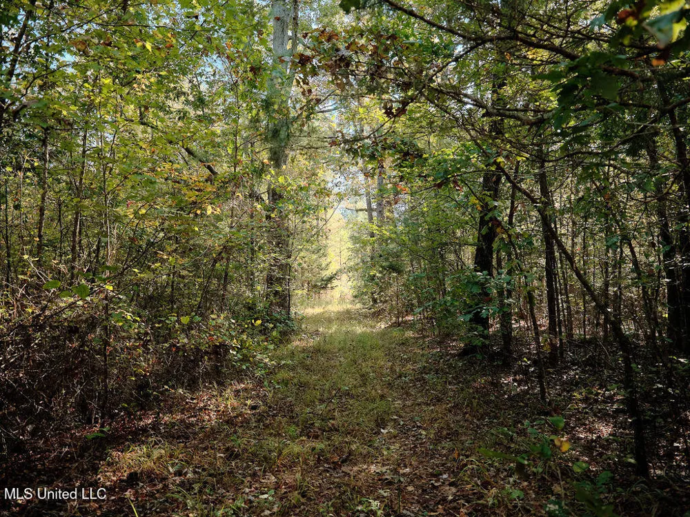 0 Green Door Road Eupora, MS 39744