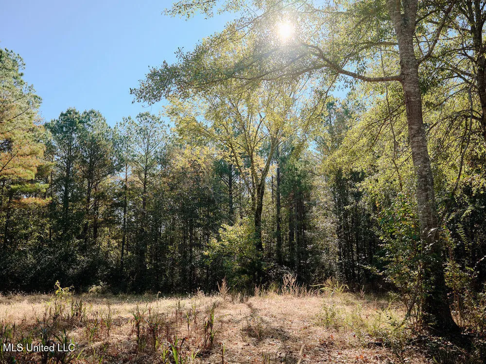 0 Green Door Road Eupora, MS 39744