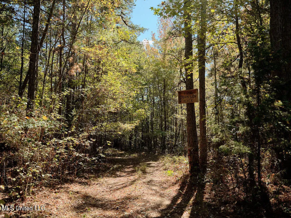 0 Green Door Road Eupora, MS 39744