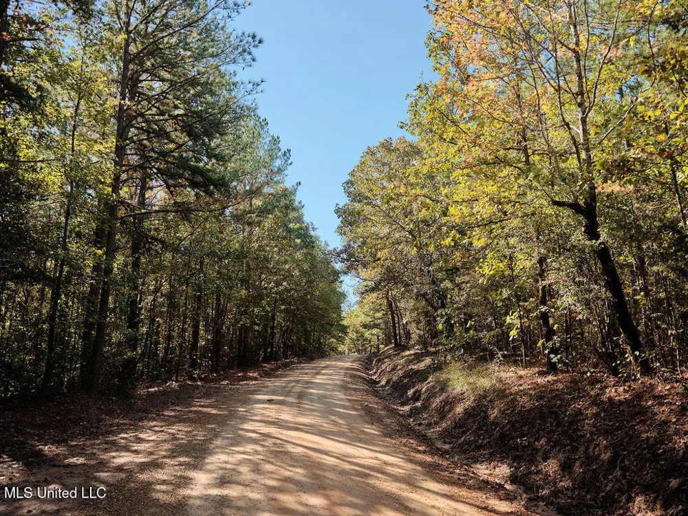 0 Green Door Road Eupora, MS 39744