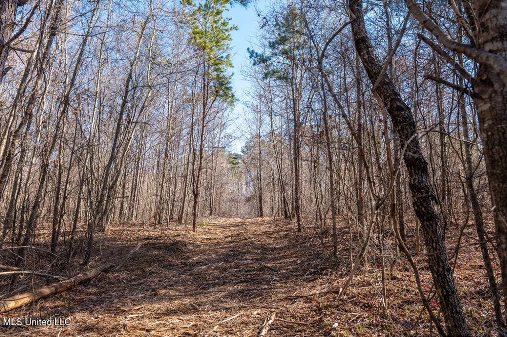 0 Green Door Road Eupora, MS 39744