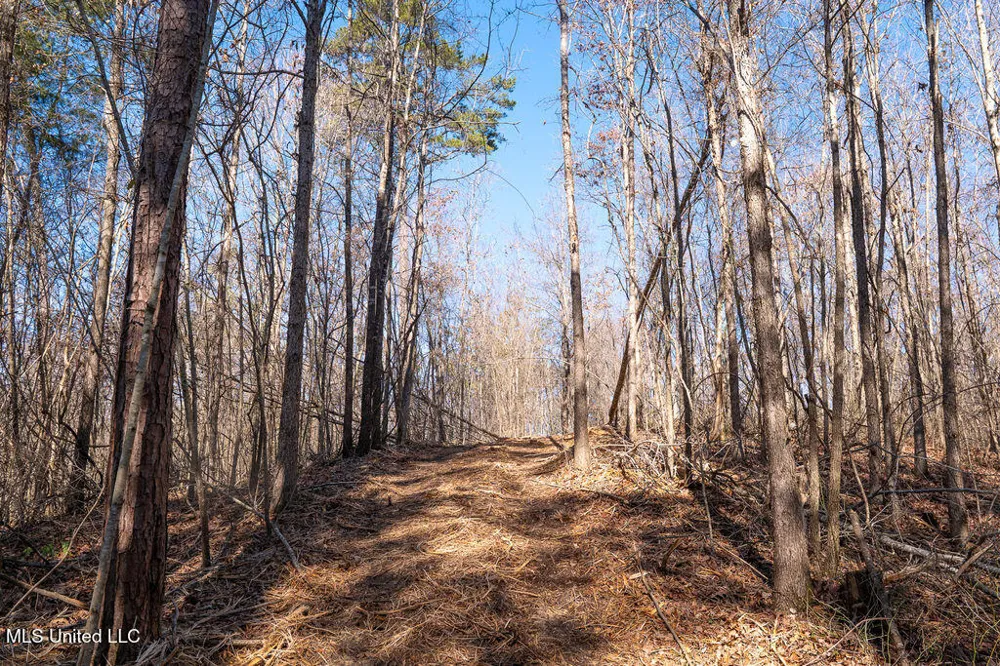 0 Green Door Road Eupora, MS 39744