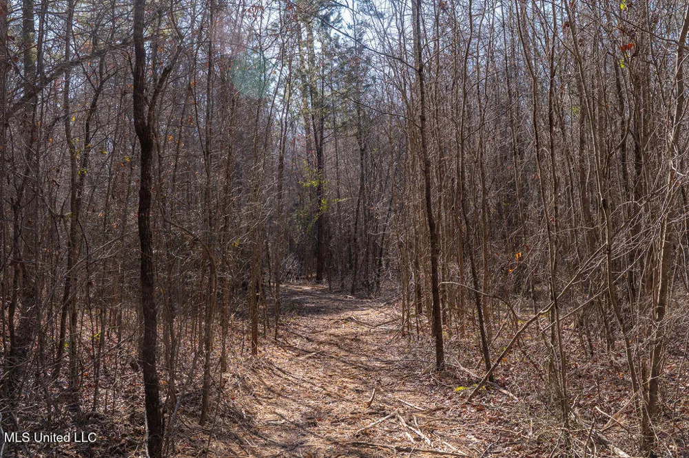 0 Green Door Road Eupora, MS 39744