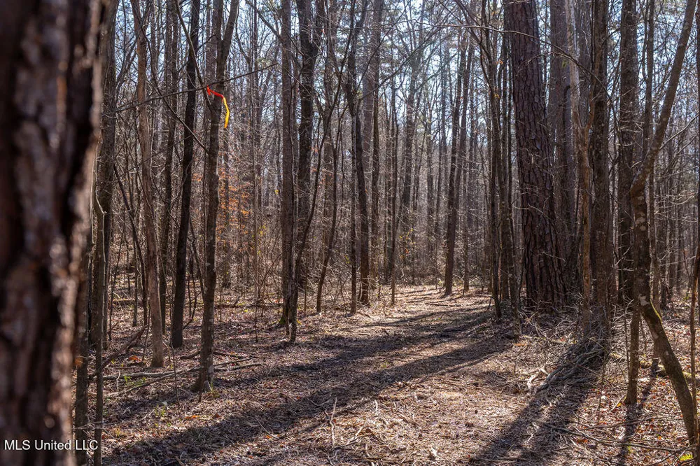 0 Green Door Road Eupora, MS 39744