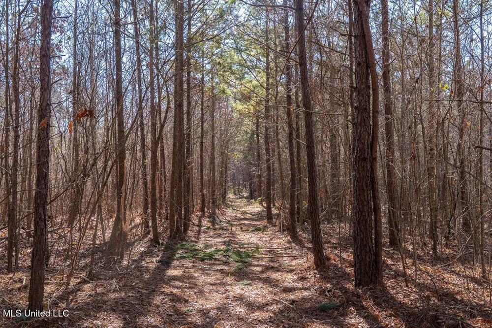 0 Green Door Road Eupora, MS 39744