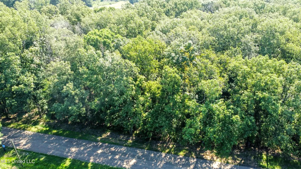 0 Lakeridge Lane Clinton, MS 39056