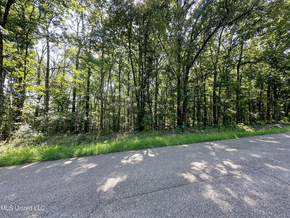 0 Lakeridge Lane Clinton, MS 39056