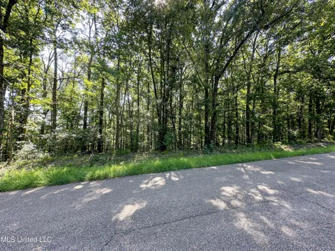 0 Lakeridge Lane