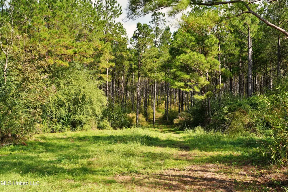 2093 Mallalieu Dr Se Ruth, MS 39662
