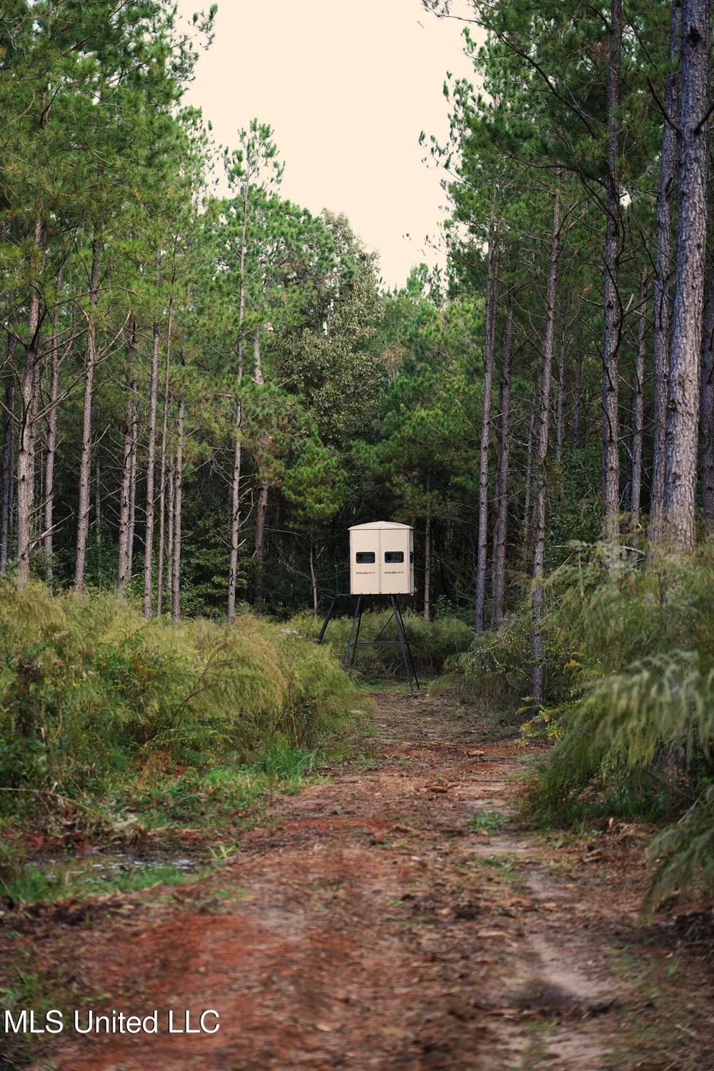 2093 Mallalieu Dr Se Ruth, MS 39662