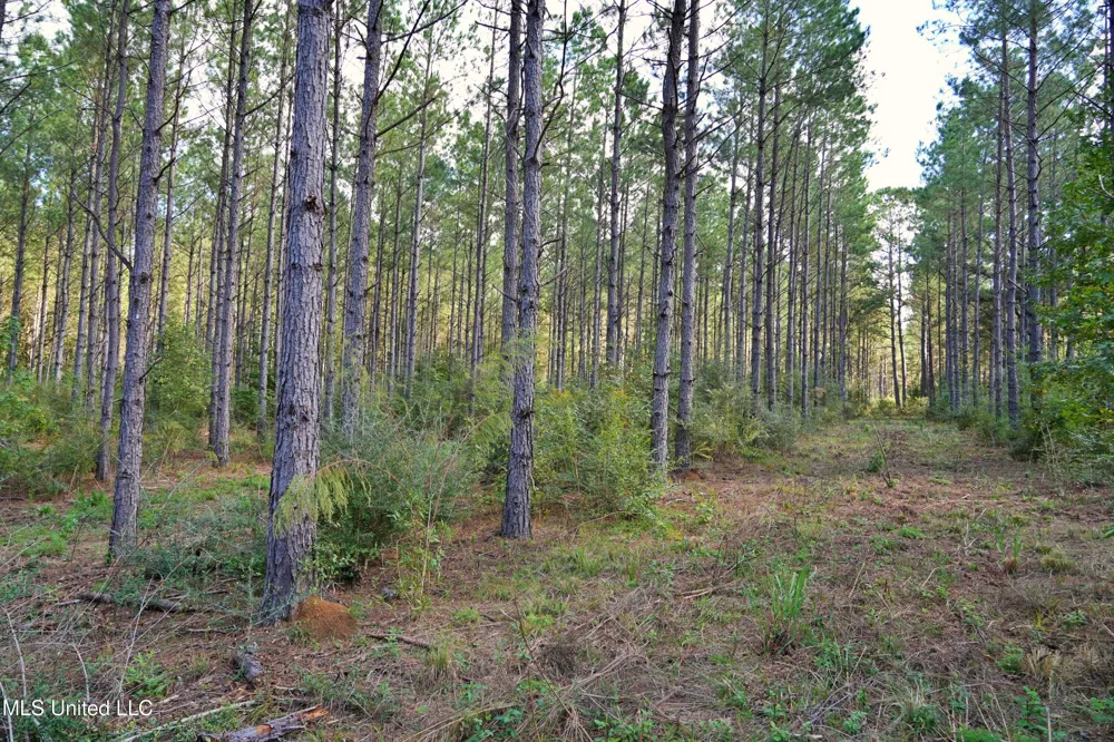 2093 Mallalieu Dr Se Ruth, MS 39662