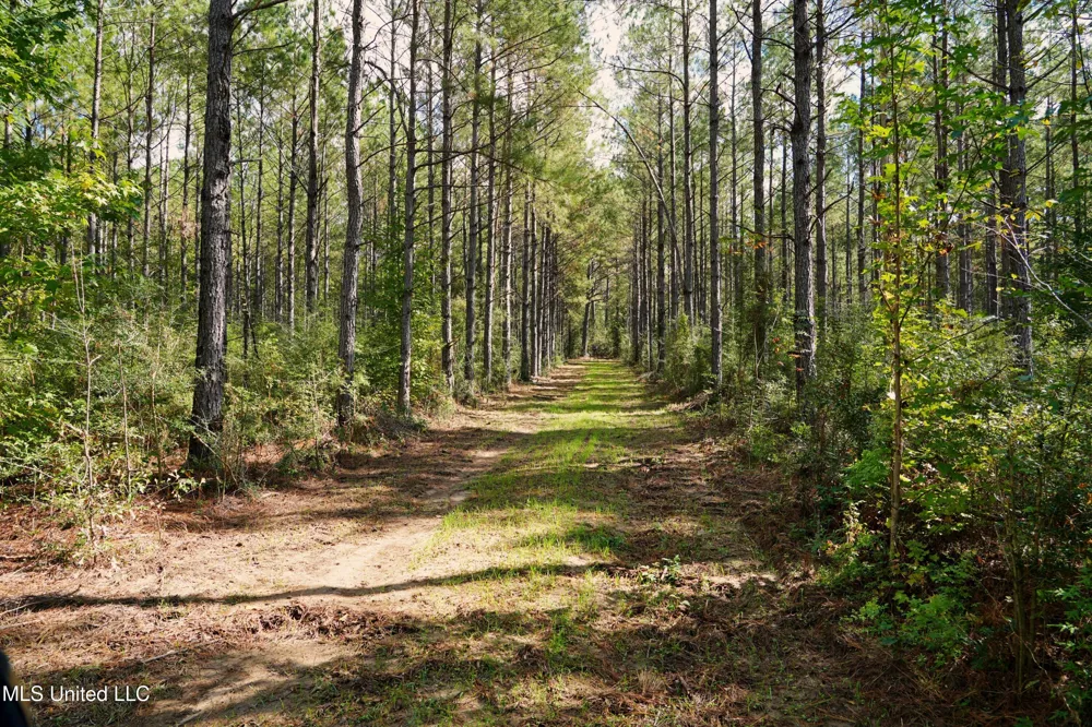 2093 Mallalieu Dr Se Ruth, MS 39662
