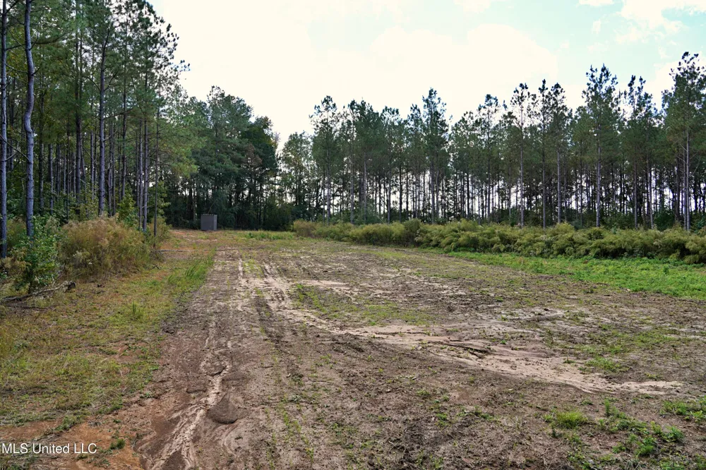 2093 Mallalieu Dr Se Ruth, MS 39662