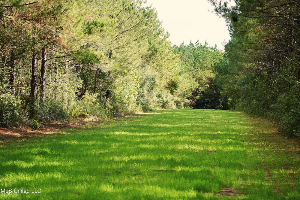 2093 Mallalieu Dr Se Ruth, MS 39662