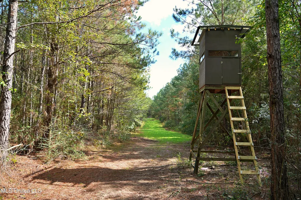 2093 Mallalieu Dr Se Ruth, MS 39662