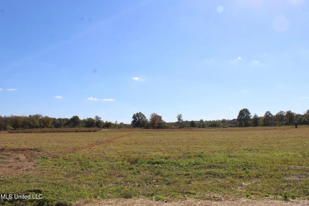 20 Pin Oak Road Michigan City, MS 38647