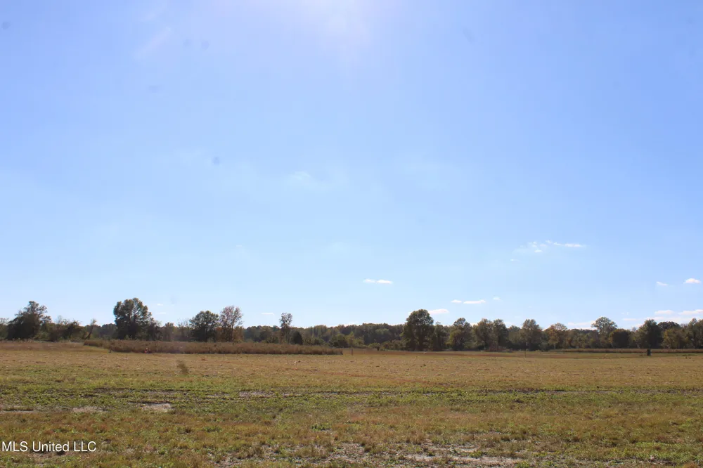37 Pin Oak Road Michigan City, MS 38647