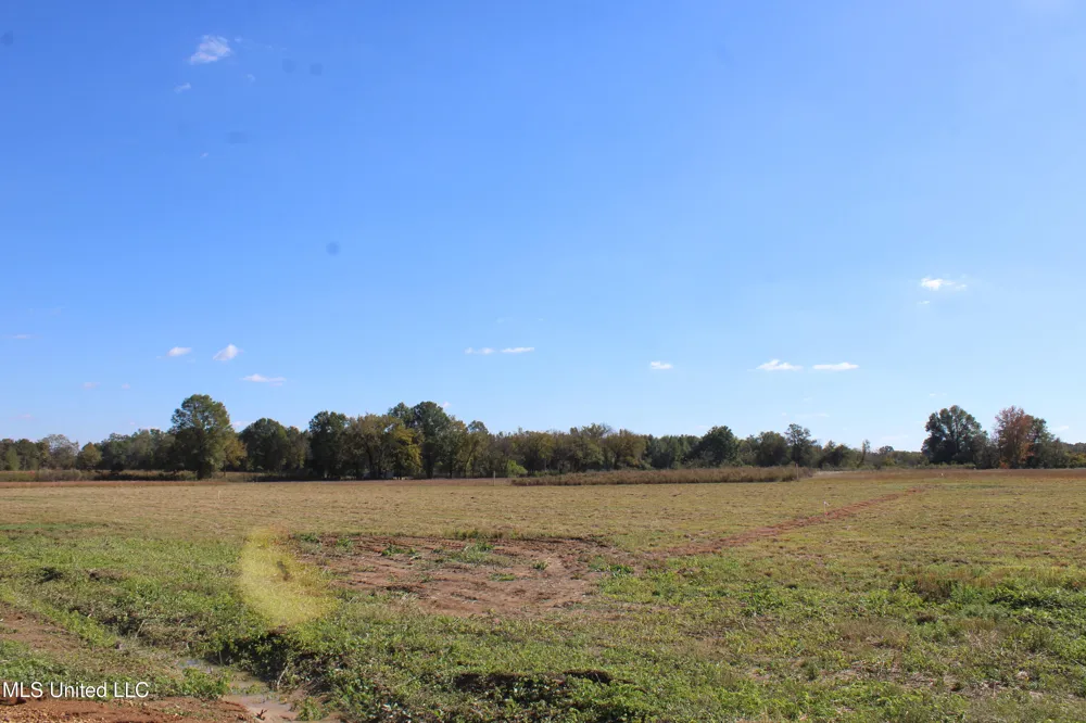 37 Pin Oak Road Michigan City, MS 38647