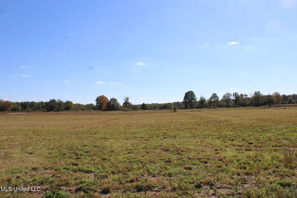 37 Pin Oak Road Michigan City, MS 38647