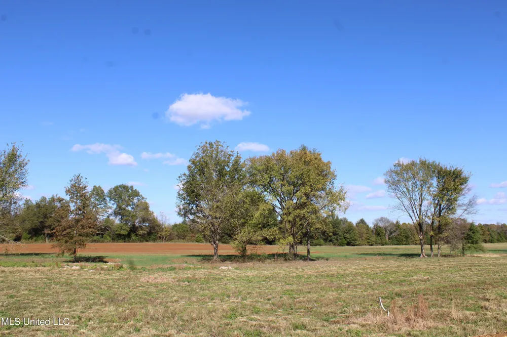 37 Pin Oak Road Michigan City, MS 38647