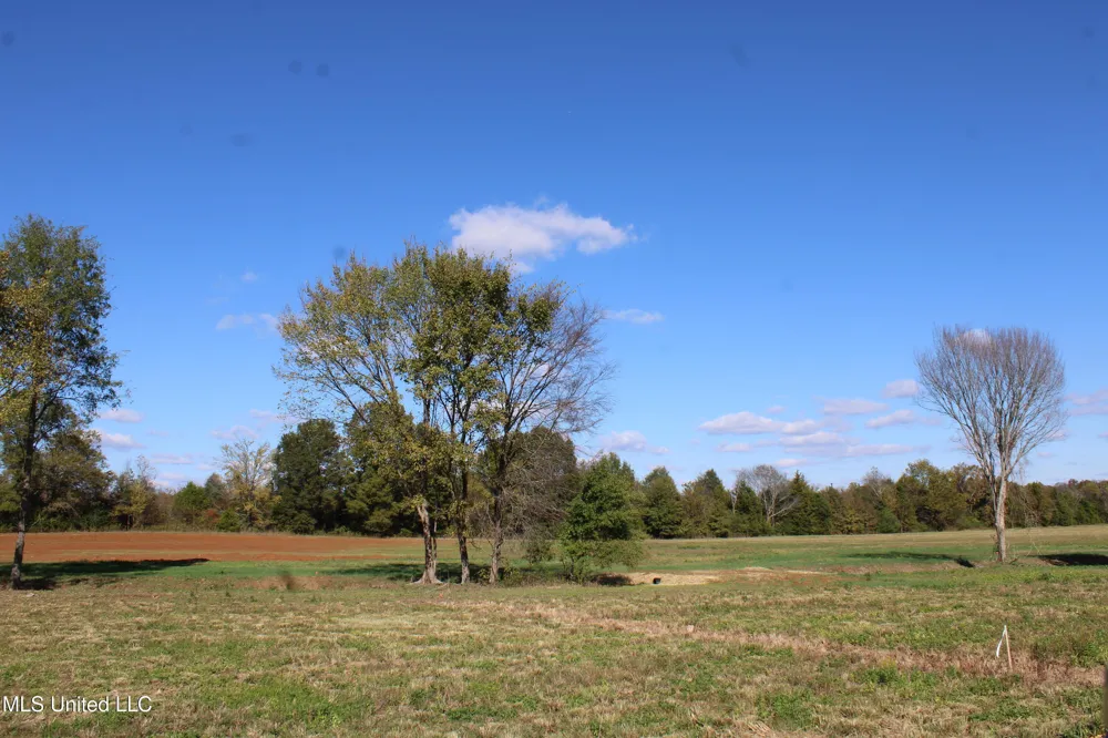 37 Pin Oak Road Michigan City, MS 38647