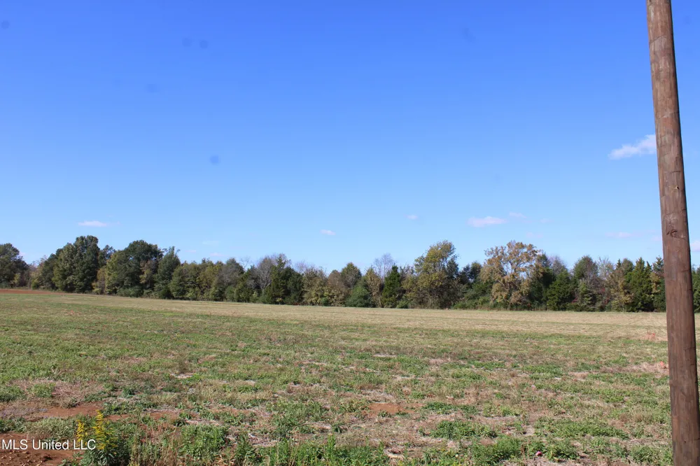 37 Pin Oak Road Michigan City, MS 38647