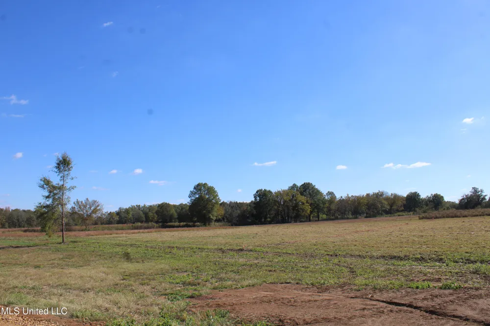 39 Pin Oak Road Michigan City, MS 38647