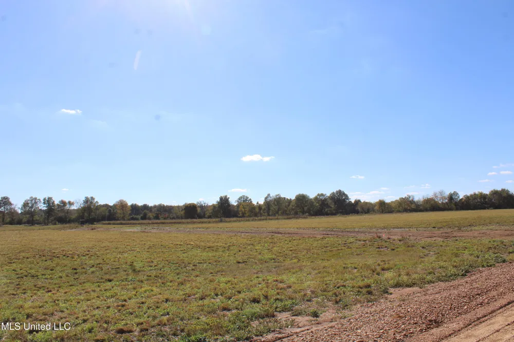 39 Pin Oak Road Michigan City, MS 38647