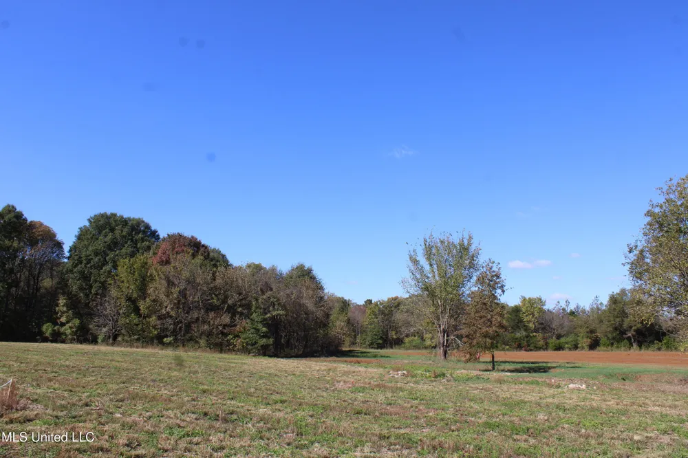 39 Pin Oak Road Michigan City, MS 38647