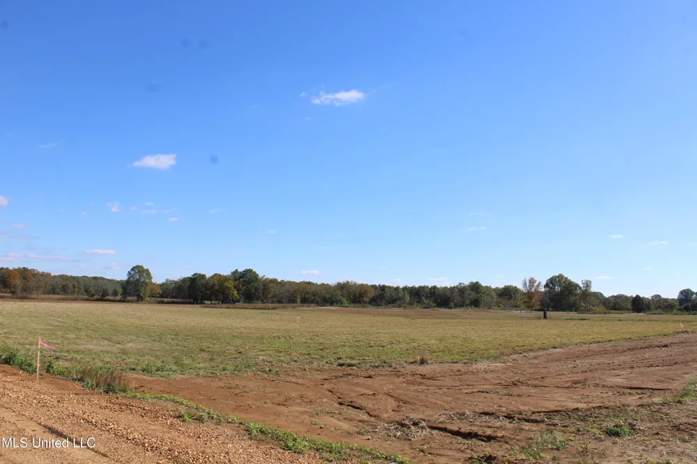 38 Pin Oak Road Michigan City, MS 38647