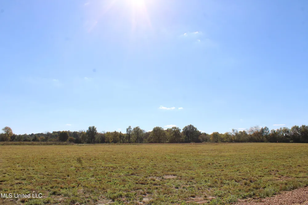 38 Pin Oak Road Michigan City, MS 38647