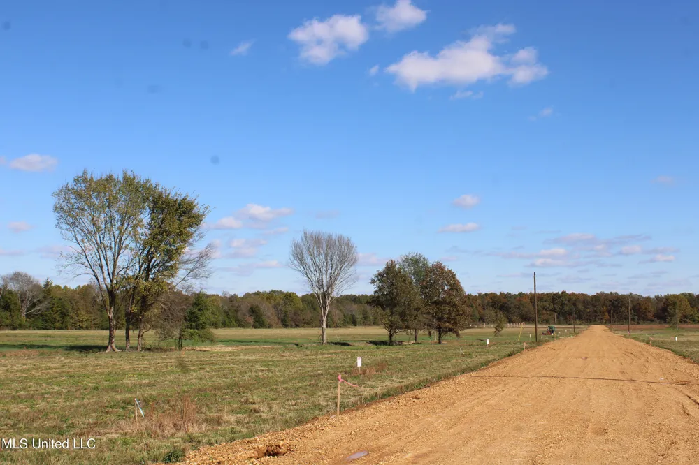 38 Pin Oak Road Michigan City, MS 38647