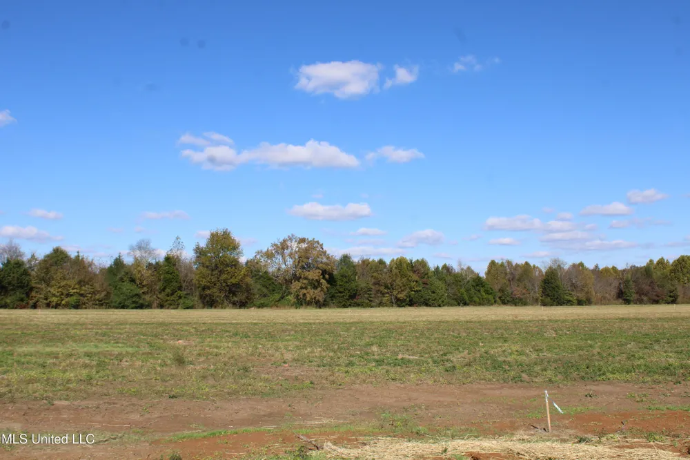 41 Pin Oak Road Michigan City, MS 38647