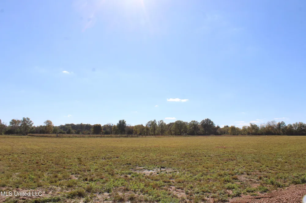 45 Pin Oak Road Michigan City, MS 38647